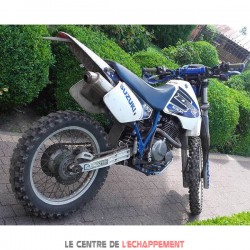 Silencieux ARROW Paris Dakar Replica Adapt.Suzuki DR 350 S 1990-1999