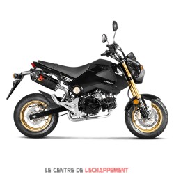 Collecteur sans catalyseur Akrapovic pour Honda MSX 125 2013-2015