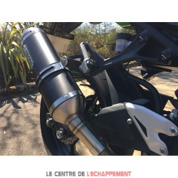 Silencieux ARROW Race Tech Kawasaki Z 400 2019-... Coupelle Carbone