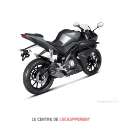 Ligne Complète AKRAPOVIC Racing Line Yamaha MT 125 2014-... Et YZF 125 R 2014-2016 Coupelle Carbone