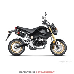 Silencieux AKRAPOVIC Slip-On Honda MSX 125 2013-2015 Coupelle Carbone