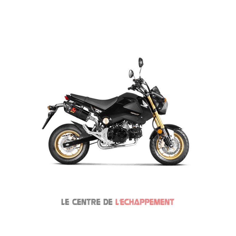 Ligne Complète AKRAPOVIC Slip-On Honda MSX 125 2013-2015 Coupelle Carbone