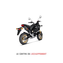 Ligne Complète AKRAPOVIC Slip-On Honda MSX 125 2013-2015 Coupelle Carbone