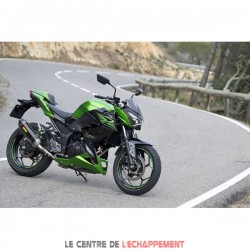 Silencieux AKRAPOVIC Slip-On Racing Kawasaki NINJA 300 R 2013-2016 et Z 300 2015-... Coupelle Carbone