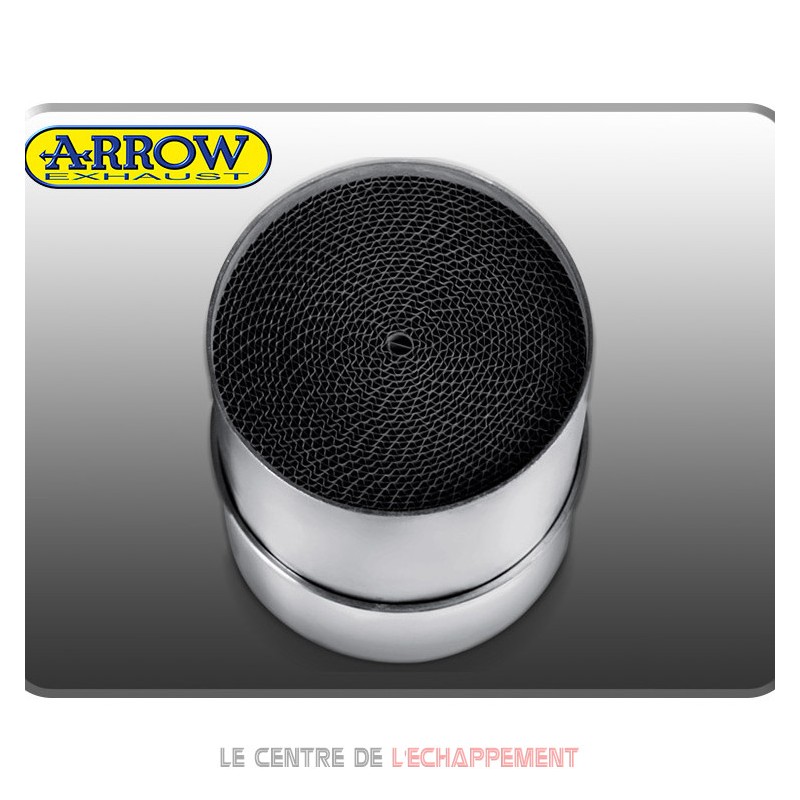 Catalyseur ARROW AR5006996