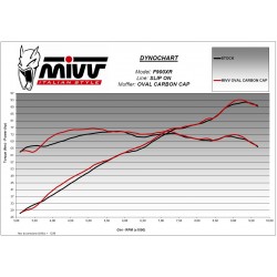 Silencieux MIVV Sportline BMW F 900 R/XR 2020-... (coupelle carbone)