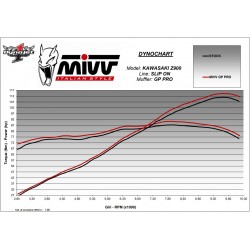 Silencieux MIVV GP PRO Kawasaki Z 900 2020-... Avec Grille